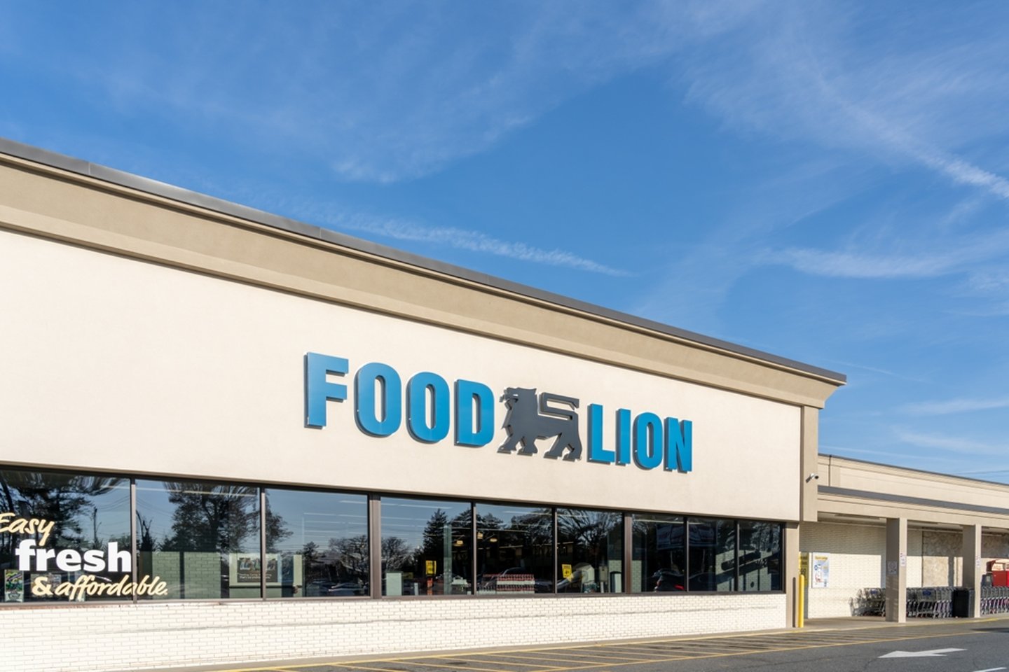 Food Lion Storefront Main Image