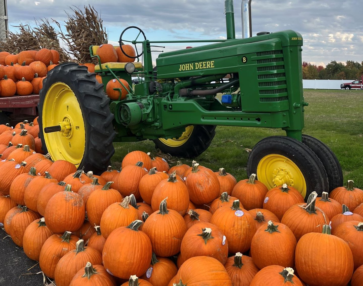 Jewel pumpkin