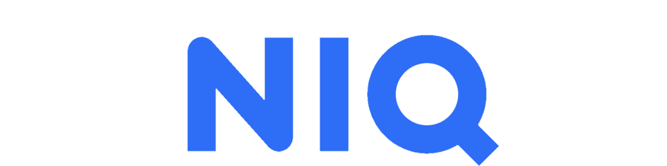 NIQ logo